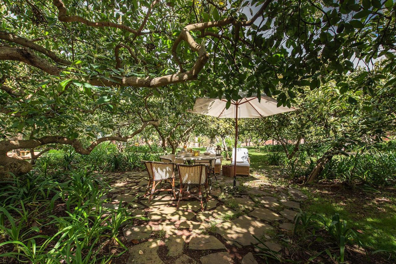 Homeforguest Rural House With Garden El Laurel 塔科龙特 外观 照片