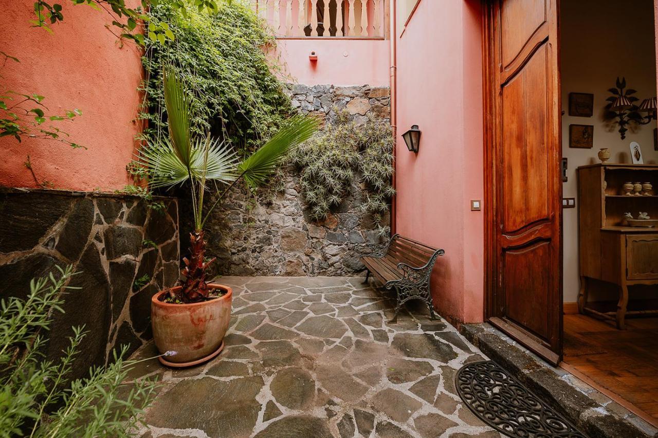 Homeforguest Rural House With Garden El Laurel 塔科龙特 外观 照片