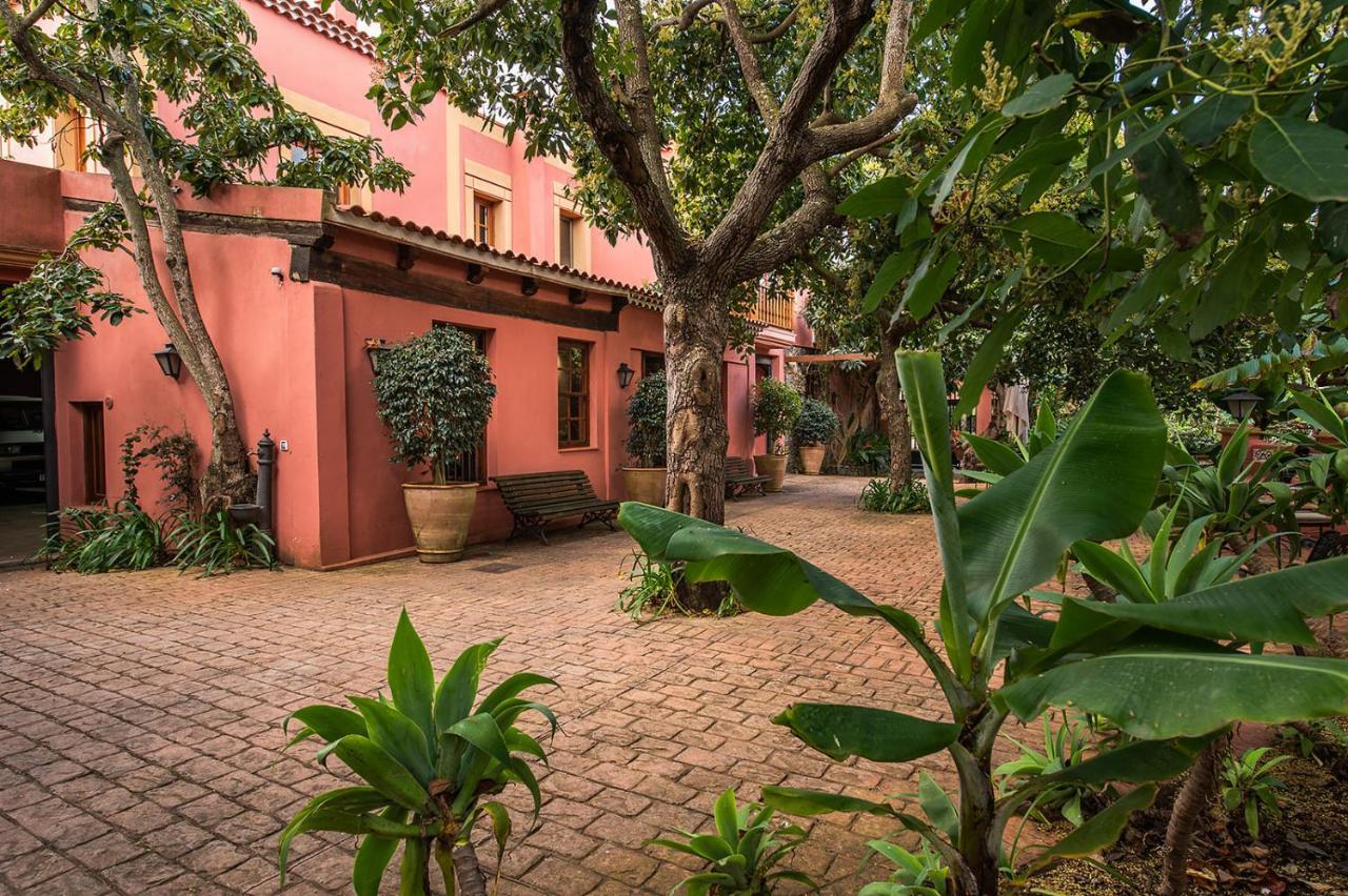 Homeforguest Rural House With Garden El Laurel 塔科龙特 外观 照片