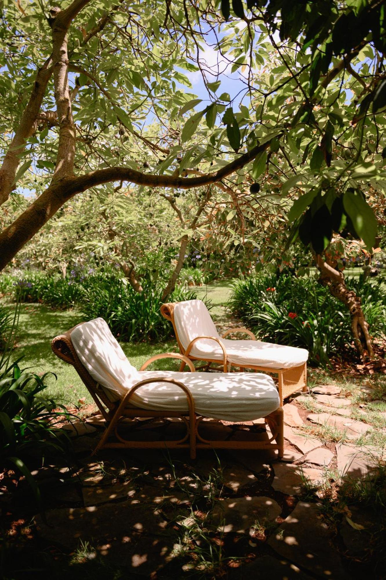 Homeforguest Rural House With Garden El Laurel 塔科龙特 外观 照片